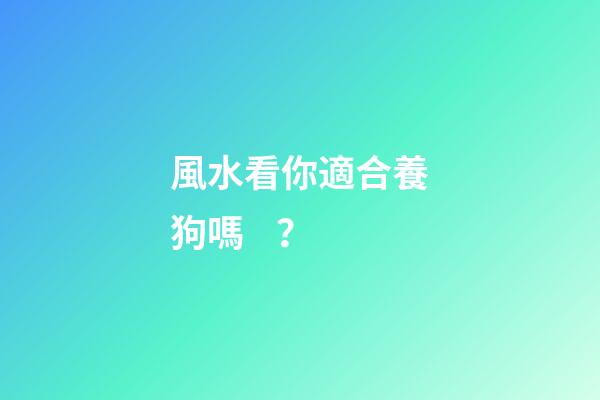 風水看你適合養狗嗎？